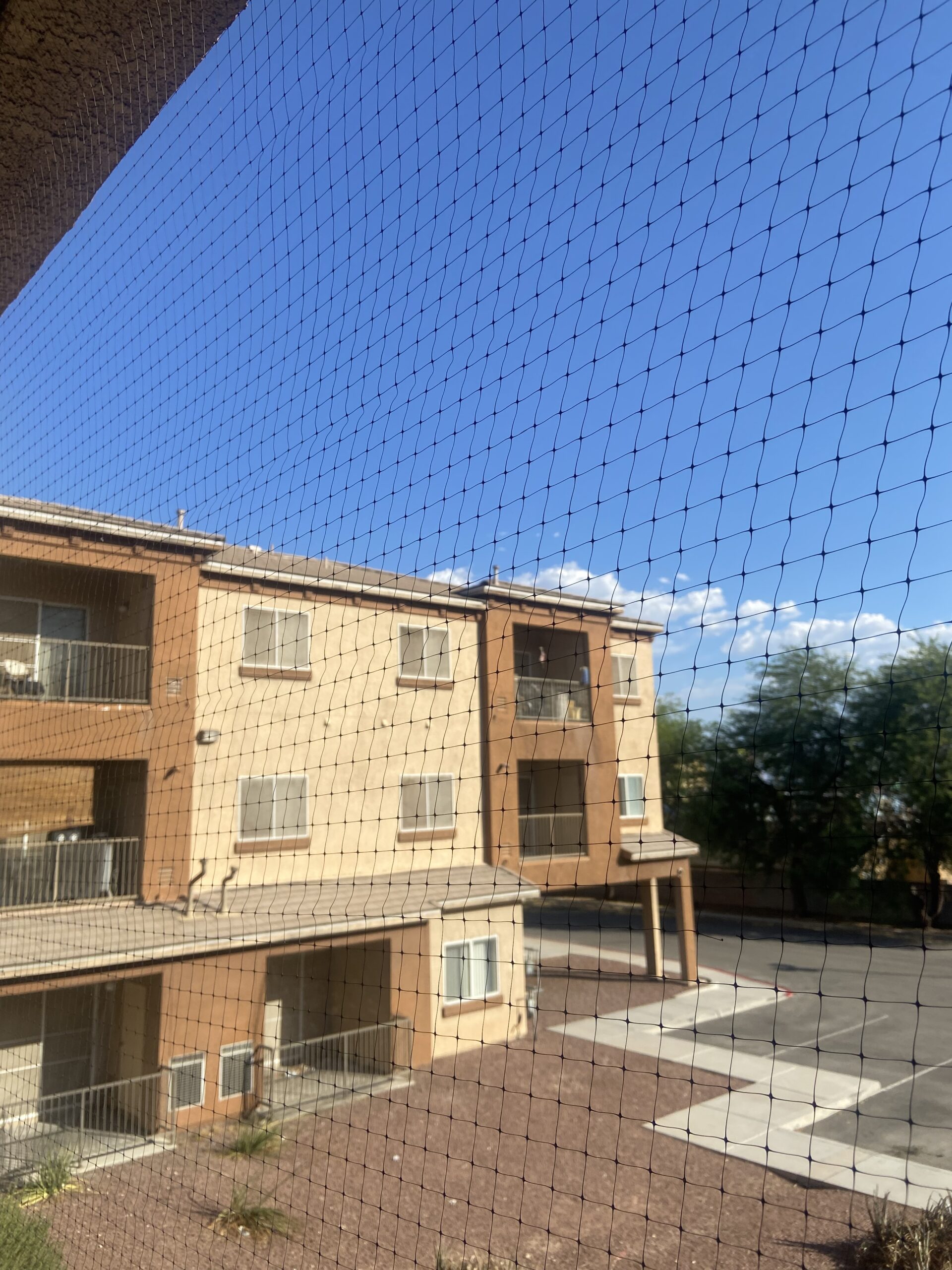 Senator Harry Reid Senior Apartments — photo 2